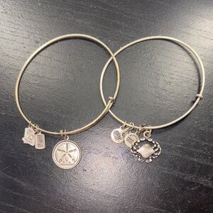 Silver Alex and Ani